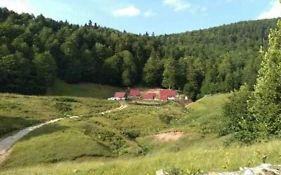 Dulovic - Katun Potoci